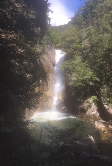 image1 (2)