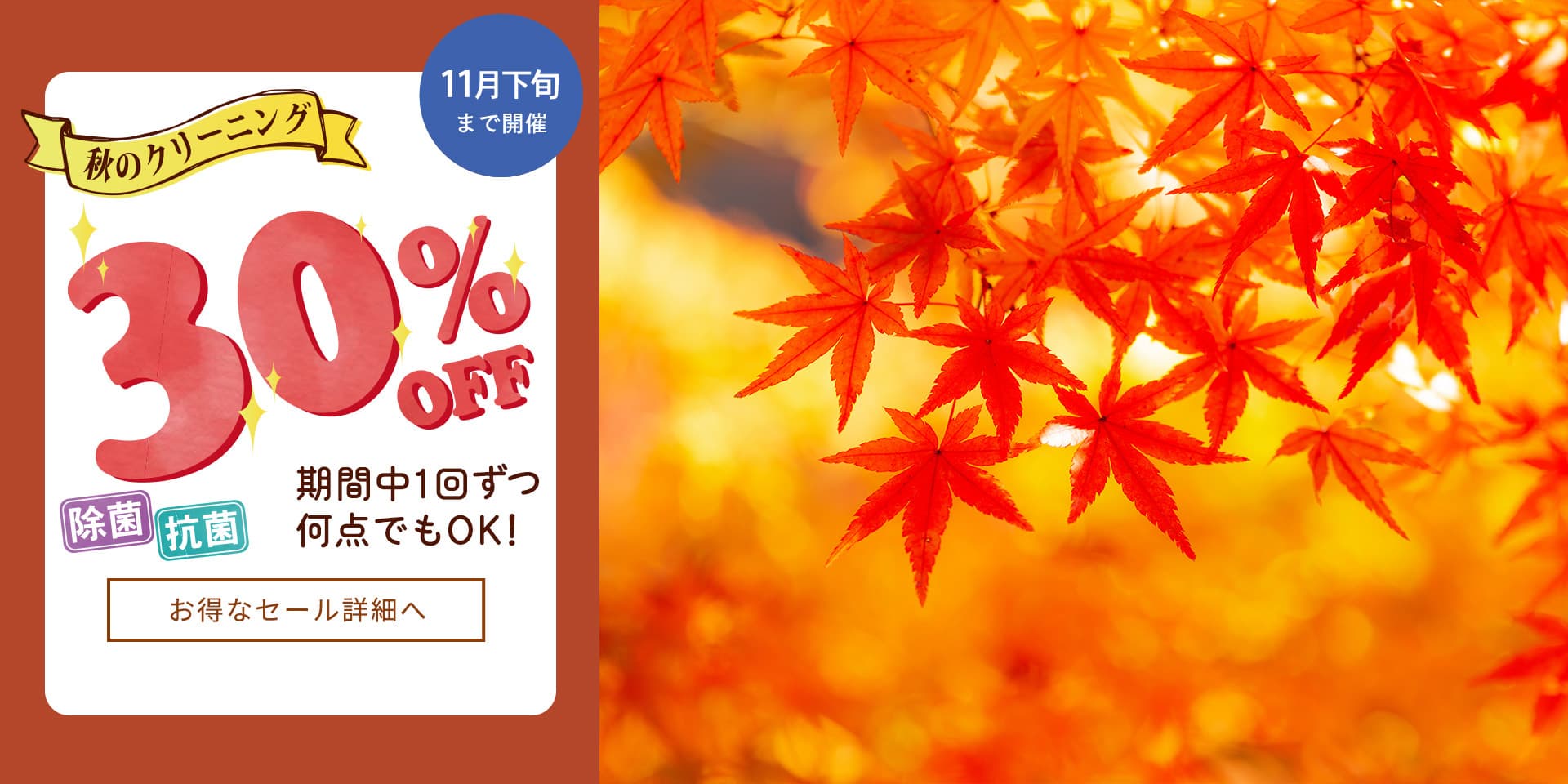 秋の30%引セール