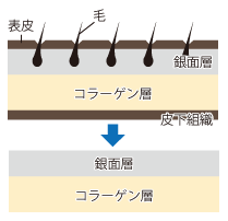 天然素材のイメージ